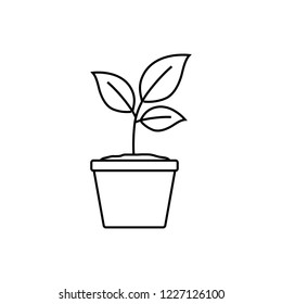 eco plant icon. Trendy modern flat linear vector eco plant icon on white background from thin line Ecology collection, outline vector illustration