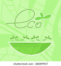 eco product
