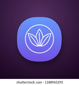 Eco products app icon. UI/UX user interface. Ecological material. Natural latex. Plant leaves. Organic eco friendly mattress. Mattress property. Web or mobile application. Vector isolated illustration