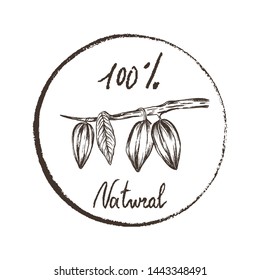 Eco products. Imprint design elements Hand drawn sketch branch with cacao beans Chalk style vector