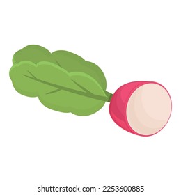 Eco radish icon cartoon vector. Garden food. Organic vegetable