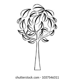 eco round tree leaves branches environment symbol vector illustration