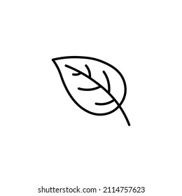 eco set black line leaf icons on white background leaf icon or logo isolated sign symbol vector illustration - Collection of high quality black style vector icons
of black icons 
