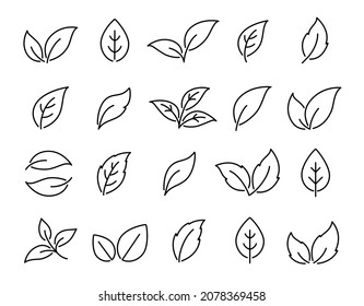 eco set of icons isolated hand drawn leaves and branches 