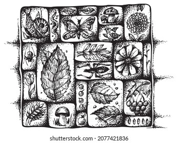 Eco set. Sketch nature collection of elements, flowers, birds, snails, spiders, leaves and insects. Vector illustration. Silhouettes backgrounds