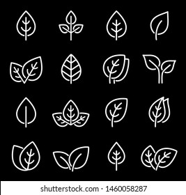 eco set of white line leaf icons on black chalkboard background