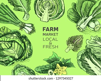 Eco shop farm product. Vector sketch vegetables. Organic farm shop.