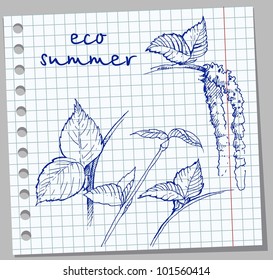 eco sketch