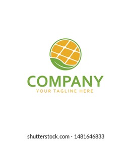 eco and solar icon logo design vector template