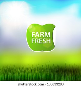 Eco sticker on landscape background. Vector illustration for Farm Fresh design