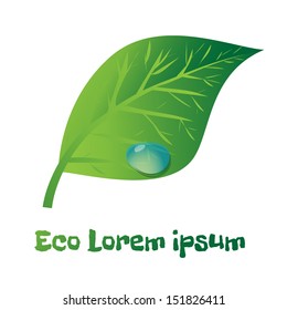 Eco style green leaf with water drop