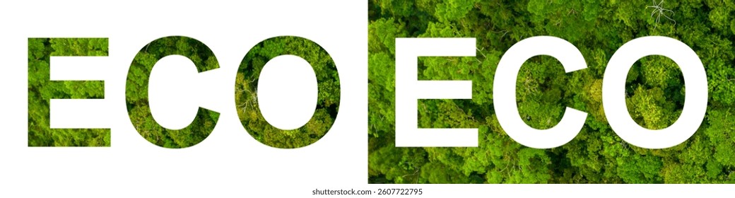 ECO text vector with forest background. Symbol for ecology, nature, green energy, sustainability, and environment. Ideal for eco campaigns, posters, organic branding, and eco-friendly designs.