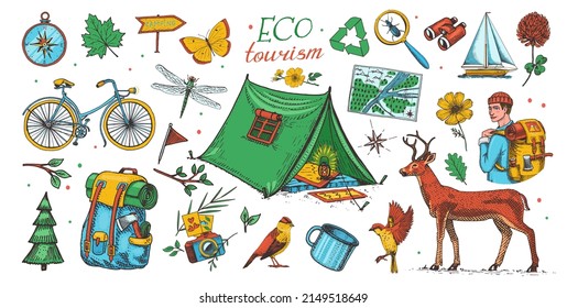 Eco Tourism Set. Eco Friendly Tourism. Tourist With Backpack And Tent. Wild Nature. Bicycle, Map, Animals And Plants. Hand Drawn In Vintage Style. Vector Illustration.