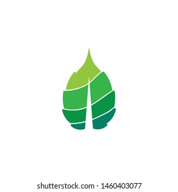 Eco Tree Leaf Logo design and Template 
