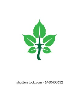 Eco Tree Leaf Logo design and Template
