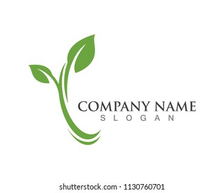 Eco Tree Leaf Logo Template