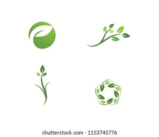 Eco Tree Leaf Logo Template