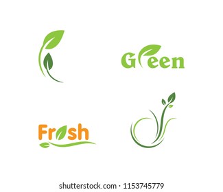 Eco Tree Leaf Logo Template