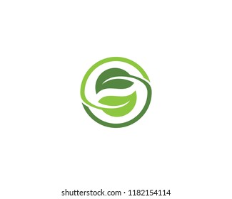 Eco Tree Leaf Logo Template