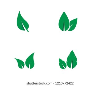 Eco Tree Leaf Logo Template