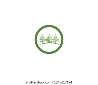 Eco Tree Leaf Logo Template