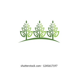 Eco Tree Leaf Logo Template