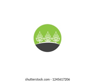 Eco Tree Leaf Logo Template