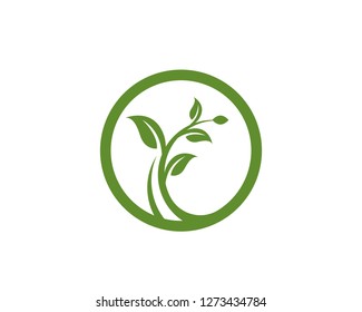 Eco Tree Leaf Logo Template - Vector