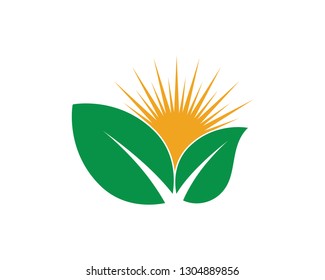 Eco Tree Leaf Logo Template shutterstock