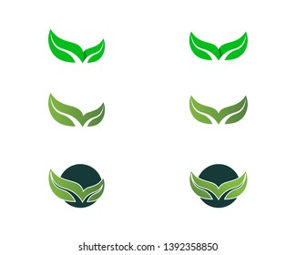Eco Tree Leaf Logo Template