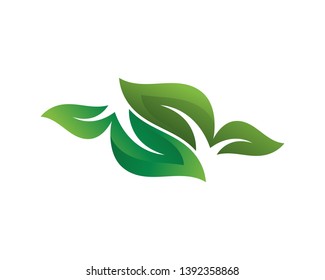 Eco Tree Leaf Logo Template