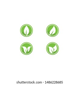 Eco Tree Leaf Logo Template design 