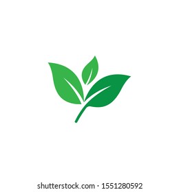 Eco Tree Leaf Logo Template