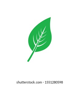 Eco Tree Leaf Logo Template
