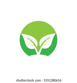 Eco Tree Leaf Logo Template