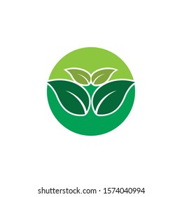 Eco Tree Leaf Logo Template