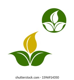 Eco Tree Leaf Logo Template