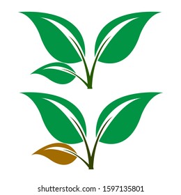 Eco Tree Leaf Logo Template