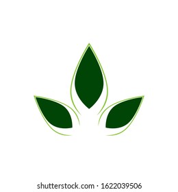 Eco Tree Leaf Logo Template