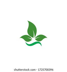 Eco Tree Leaf Logo Template design  
