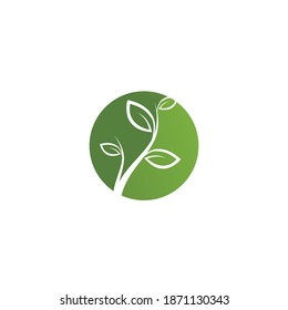 Eco Tree Leaf Logo Template vector illustration