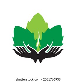 Plantilla de logotipo de hoja de árbol ecológico
