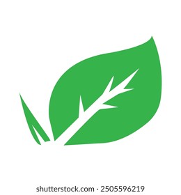 Eco Tree Leaf Logo Template