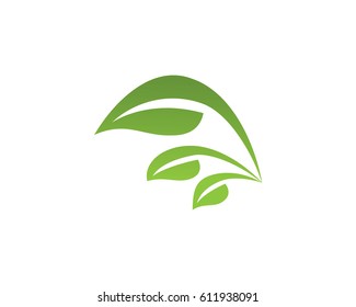 Plantilla de logotipo de hoja de árbol ecológico