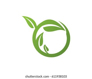 Eco Tree Leaf Logo Template