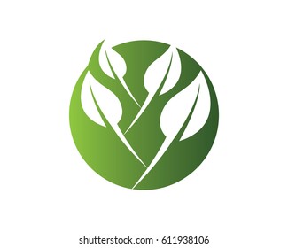 Eco Tree Leaf Logo Template