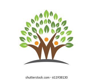 Eco Tree Leaf Logo Template