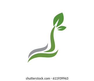 Eco Tree Leaf Logo Template