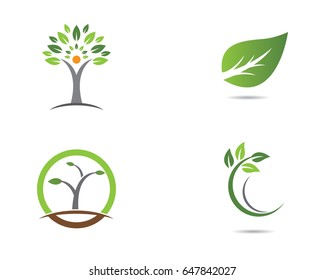 Eco Tree Leaf Logo Template