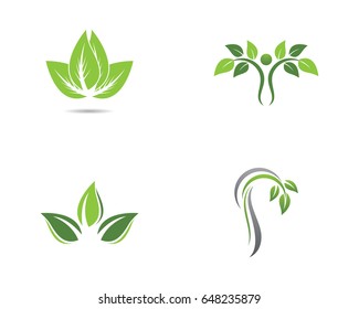 Eco Tree Leaf Logo Template